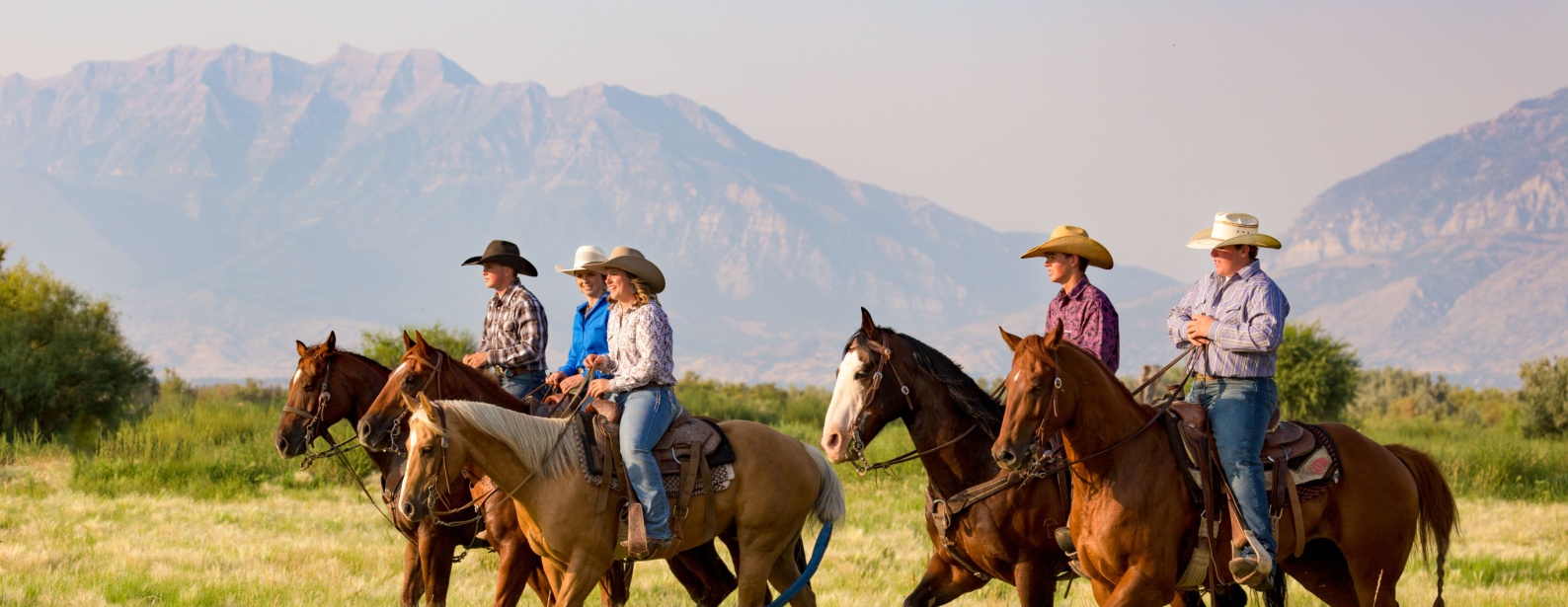 cowboy-carter-adventure