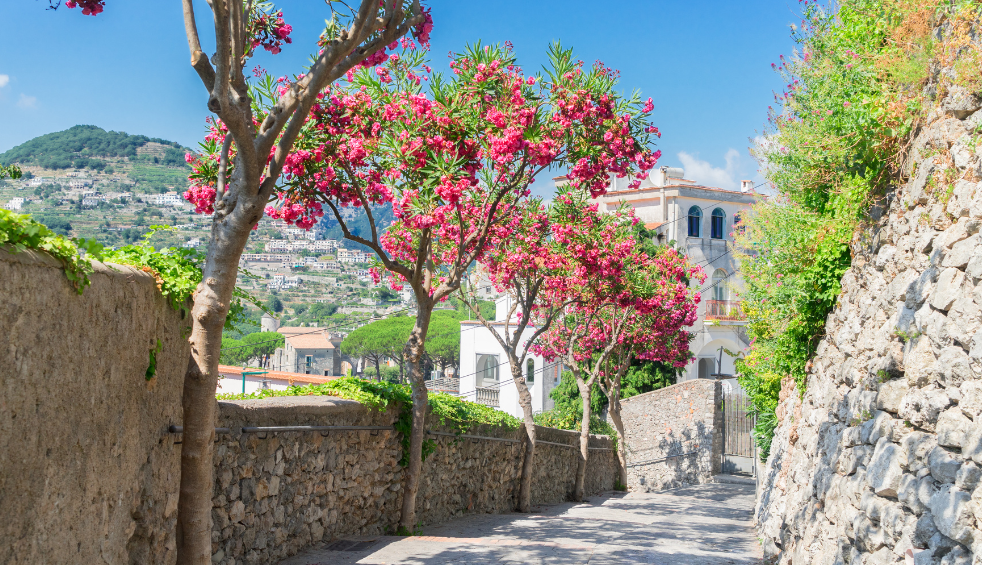 Ravello