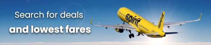 spirit-boarding-pass
